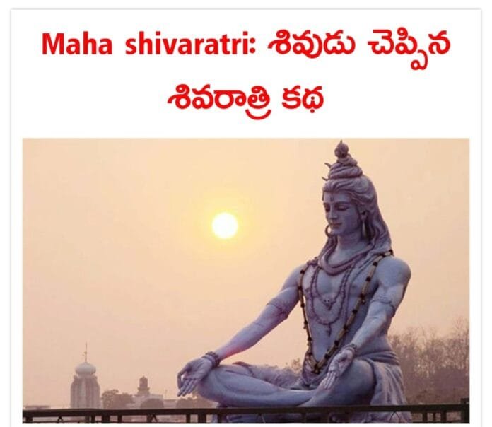 WhatsApp Image 2024-03-08 at 11.36.50 AM
