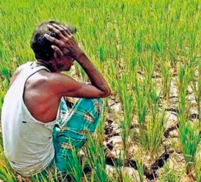 Missing list in loan waiver