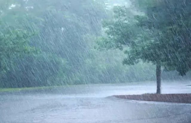 Heavy to very heavy rains for next five days