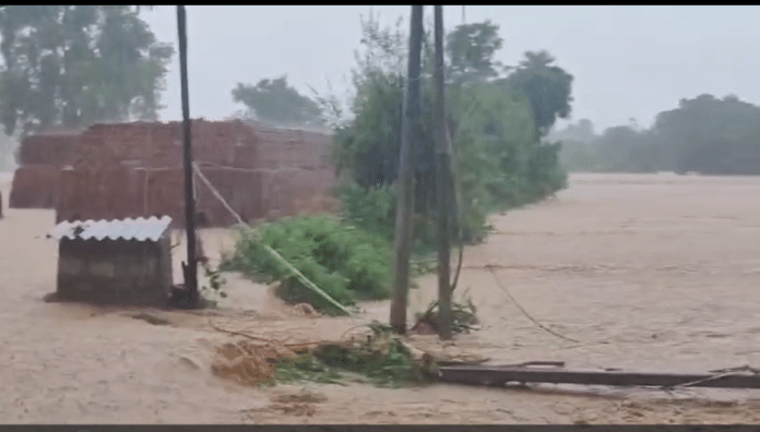 Godavari is flooded