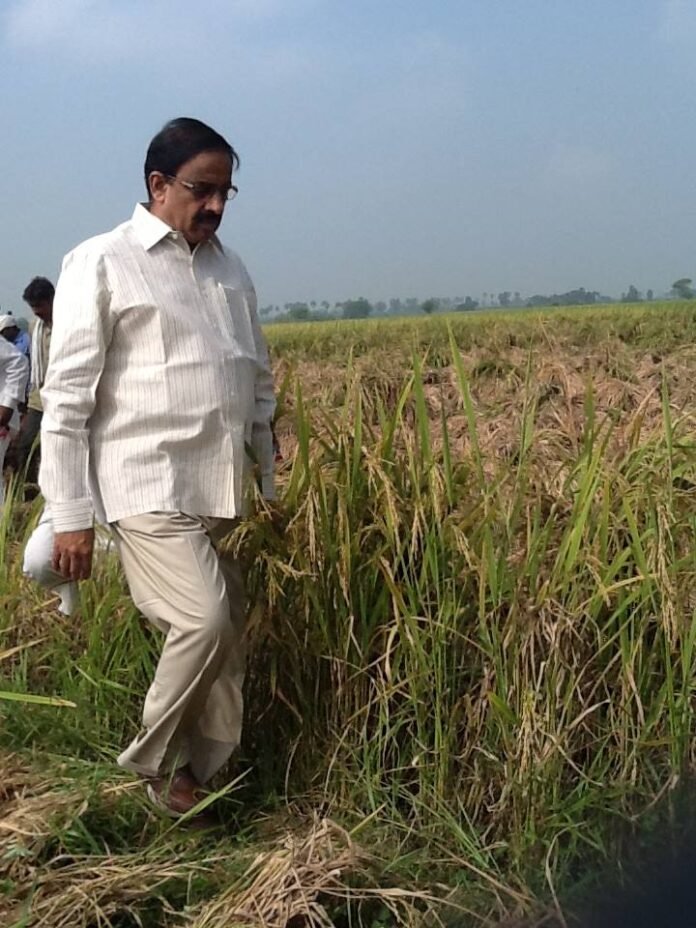 Only loans taken within five years are waived off