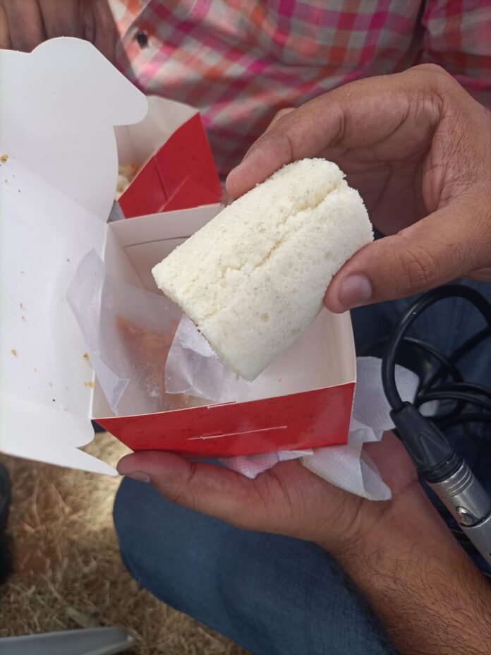 Rotten cake in Anna's canteen program