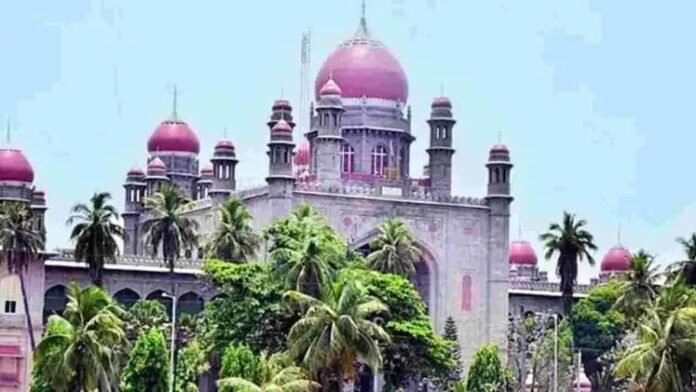 Move stray dogs to rehabilitation centers.