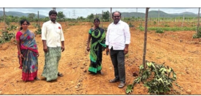 A distressed farmer