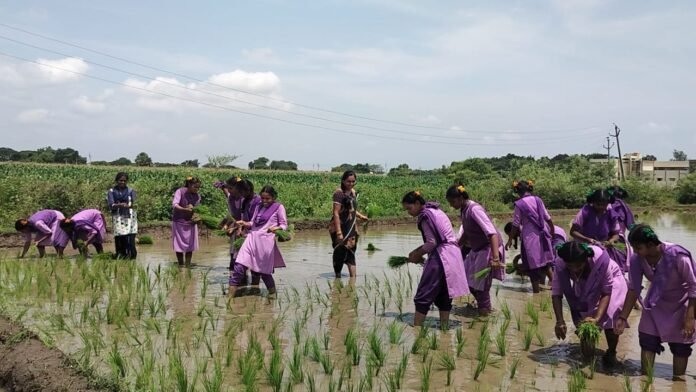 Gurukula school students farm trail Gurukula school students farm trail