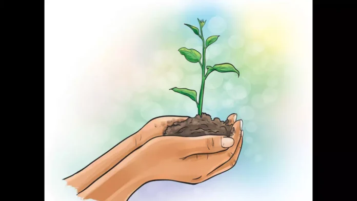 60 lakh saplings planted in five months?