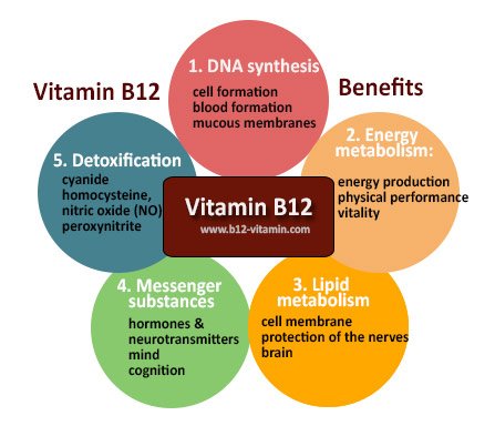 Benefits of Vitamin B12