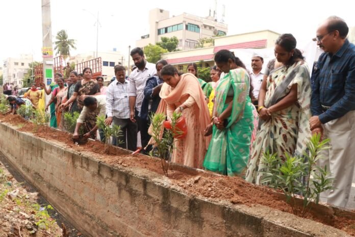 Greenery and cleanliness is the responsibility of all of us