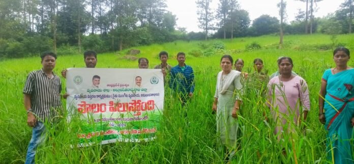 Crops yield only if modern methods are used. Crops yield only if modern methods are used.