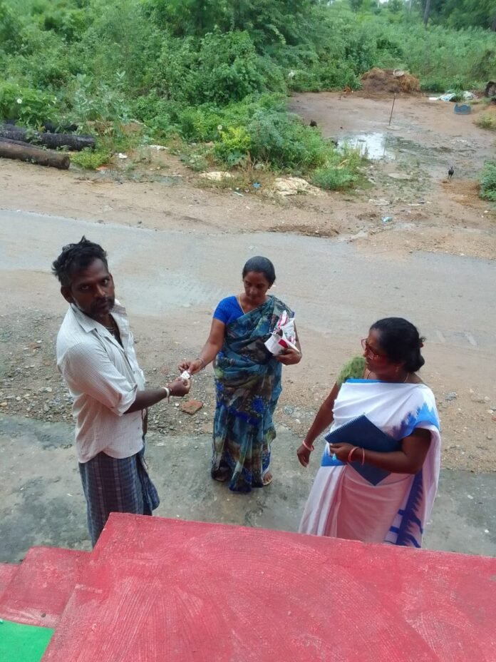 Household survey of health workers.