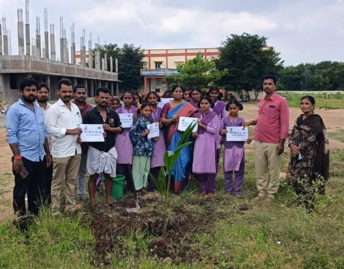 Let's plant trees and save the environment Let's plant trees and save the environment