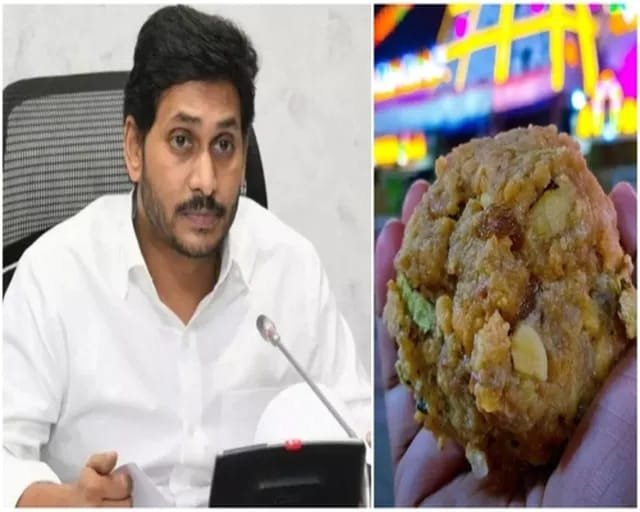 No adulterated ghee is used in Tirumala Laddu