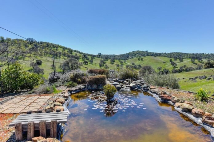Collector inspecting the Vaira pond