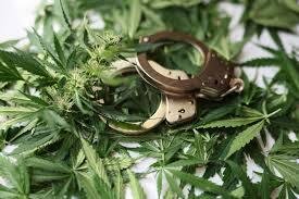 Marijuana arrest Marijuana arrest
