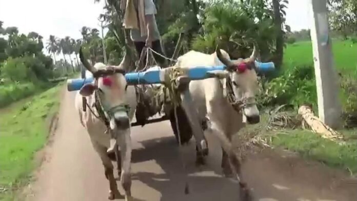 Protest with cow-vehicles in Pamidi Police Station