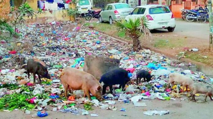 Sanitation services are poor Sanitation services are poor