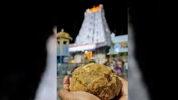 TTD laddu ghee controversy