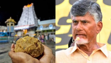 Tirupati Laddu issue that is shaking YCP....
