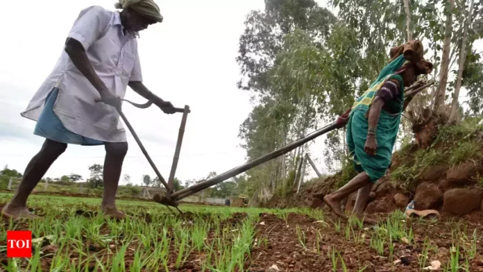 We should support farmer victims We should support farmer victims