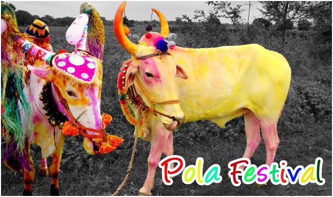 Pola: The Bullock Festival.. Specials..!!