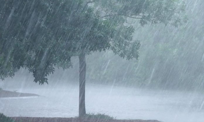 Heavy rains in AP and Telangana.. Weather Department Heavy rains in AP and Telangana.. Weather Department