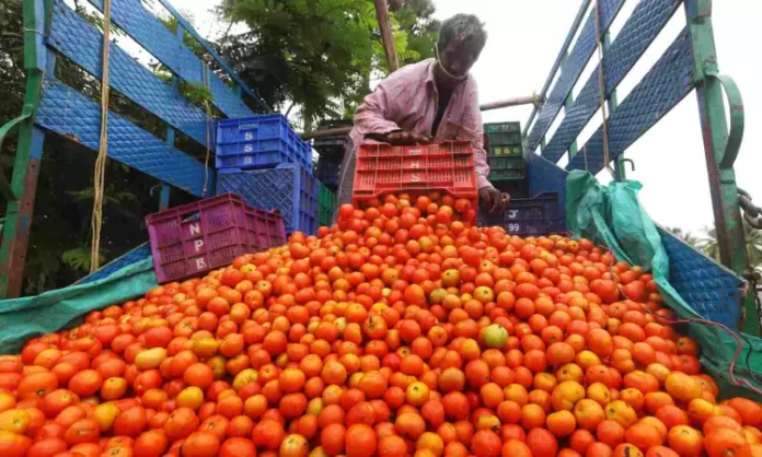 A tomato that has reached Rs.80