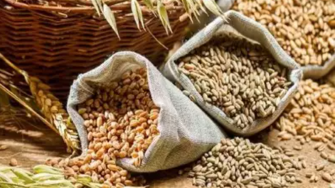 Distribution of gram seeds on concession Distribution of gram seeds on concession