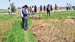 Forest officials who destroyed the crops of poor farmers