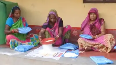 Insect nests in Anganwadi Centre
