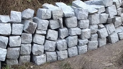 Sarkar in the process of surveying the survey stones