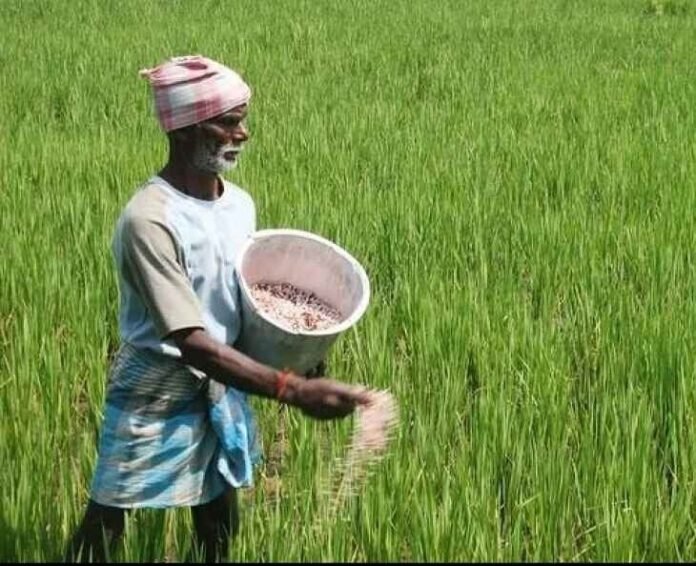 When is the distribution of Rythu Bharosa..?