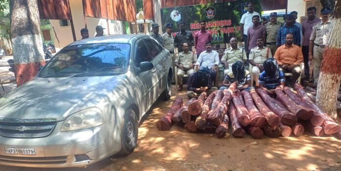 Three smugglers arrested in Rajampet forest area Three smugglers arrested in Rajampet forest area