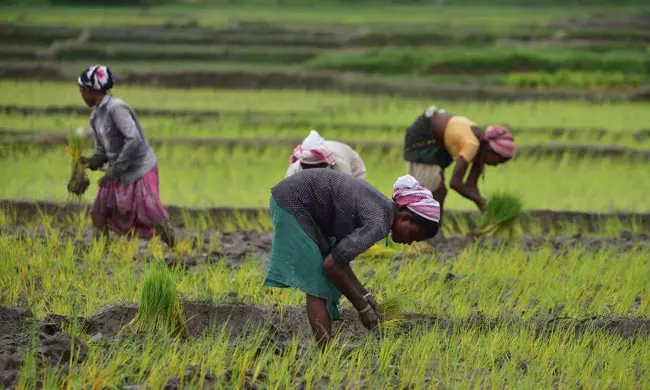 Government is good news for farmers