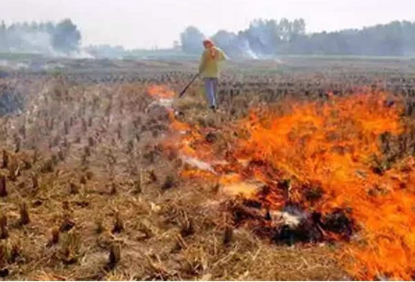 Heavy fine if crop gets burnt