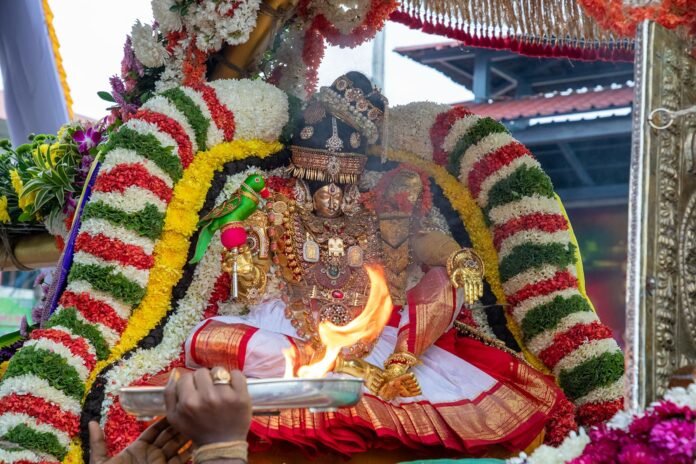 Sri Alamelumanga in Mohini decoration on palanquin Sri Alamelumanga in Mohini decoration on palanquin