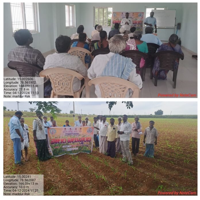 It is flourishing in Maddur and Mellevemula villages It is flourishing in Maddur and Mellevemula villages
