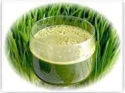 Wheatgrass powder for complete health