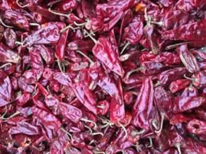 A rare recognition of Chapata Mirchi A rare recognition of Chapata Mirchi