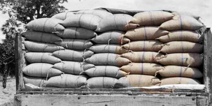 Big mafia for moving ration rice--YS Sharmila Reddy