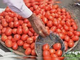 Good price should be provided for tomato... Good price should be provided for tomato...