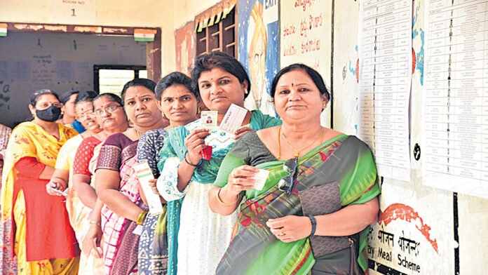MLC voting calmly MLC voting calmly