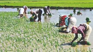 Protect the interests of farmers