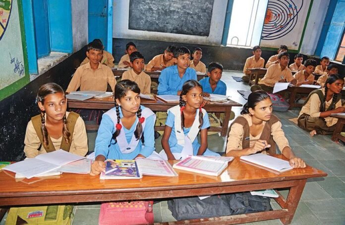 Radical changes in the education system