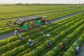 You have me….Farmers don't fear You have me….Farmers don't fear