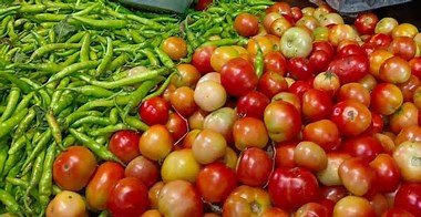 Chili and tomato going in garbage