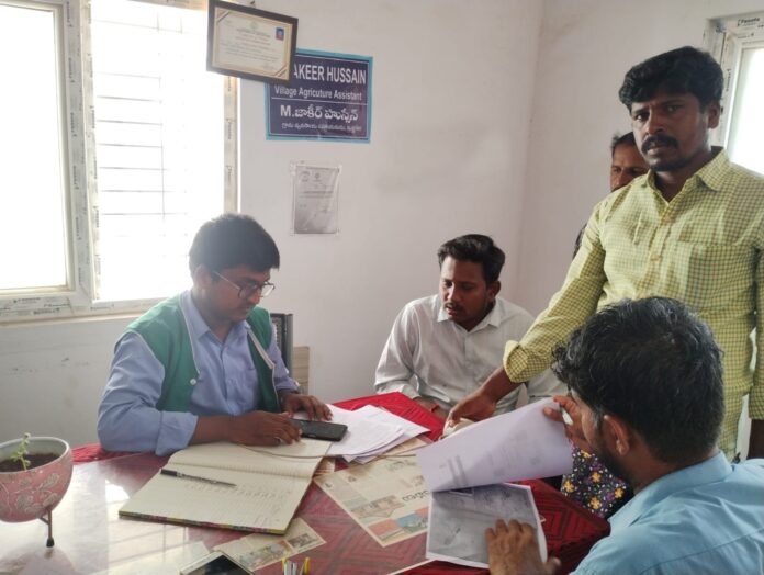 E-KYC is mandatory for Rabi crops...A.O Ravi