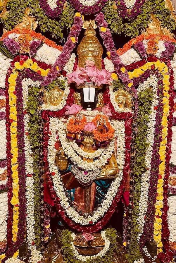 Rathasaptami at Sri Govindarajaswamy's temple on 4th February