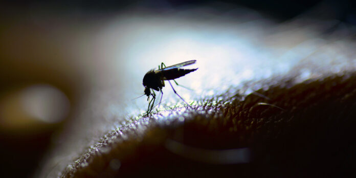 A strange climate... prone to diseases