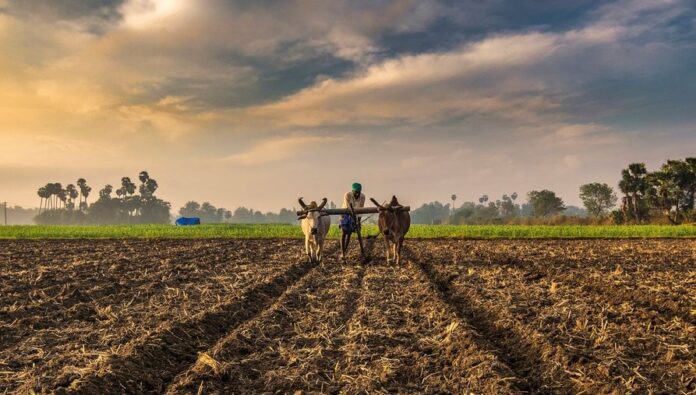 Farmers are given equal priority with industrialists under the alliance regime
