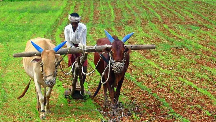 Investment assistance into farmers' accounts